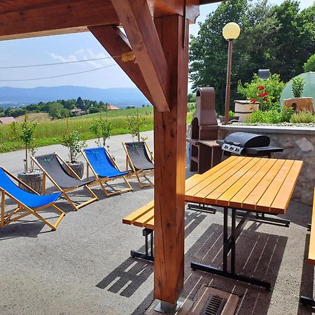 Apartments Jernej With Onsite Wellness Brežice 外观 照片
